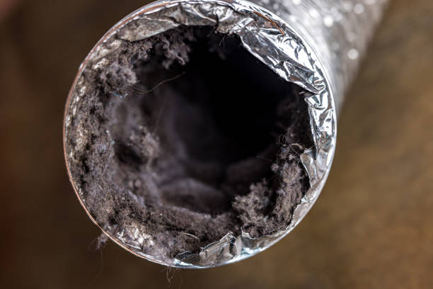 Best Commercial HVAC Duct Cleaning  in Windsor, CA